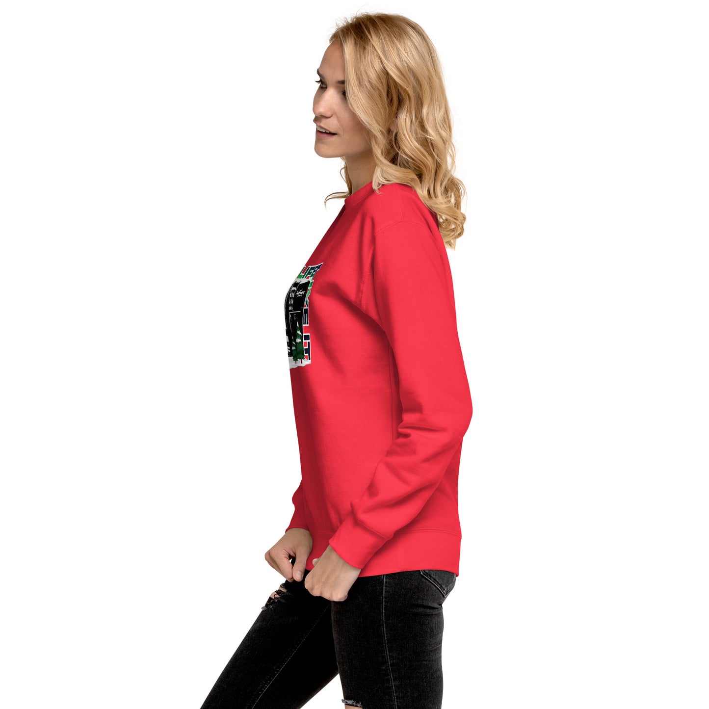 OLLI Aurora Sweater (Unisex).